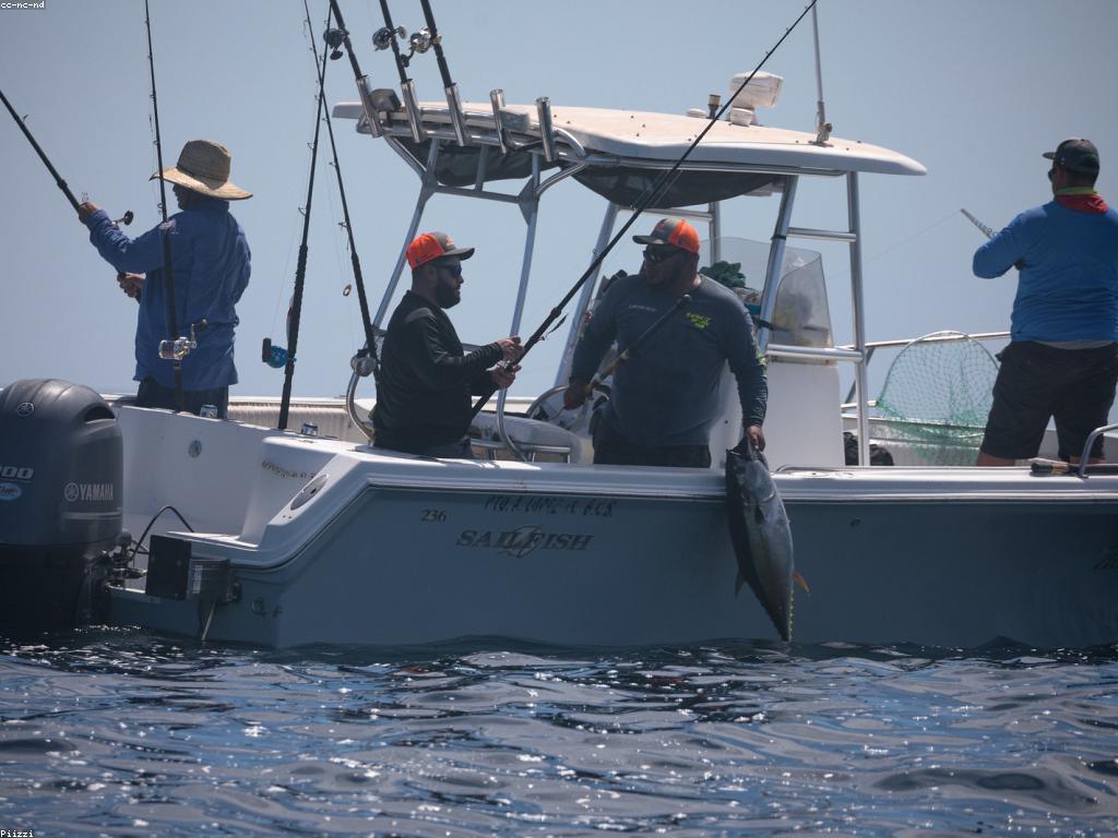 ឧបករណ៍និងសម្ភារៈហ្គេមបាញ់ត្រី