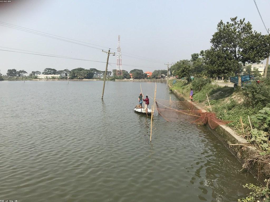 មគ្គុទេសក៍ការបាញ់ត្រី: មូលដ្ឋាននៃការបង្ហាញបច្ចេកទេសជោគជ័យ