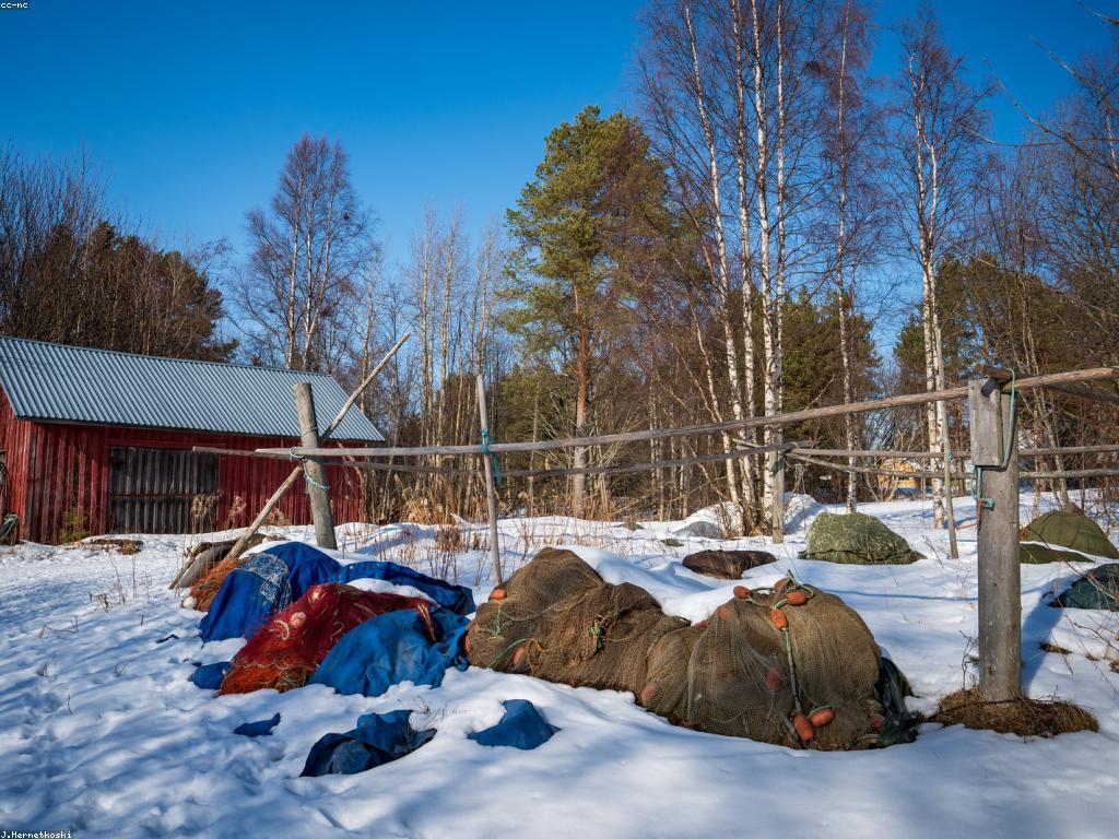 មគ្គុទេសក៍សុវត្ថិភាពសម្រាប់ការបាញ់ត្រី