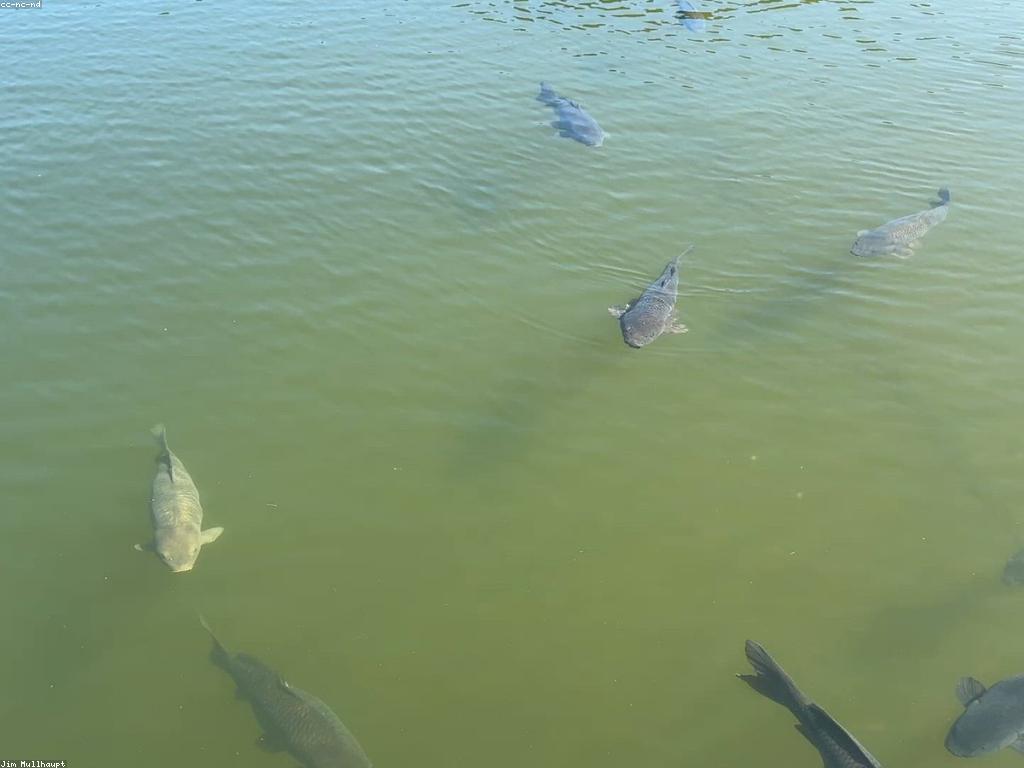 ទីកន្លែងល្អបំផុតសម្រាប់ការបាញ់ត្រី