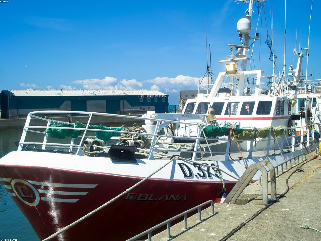 វិធីសាស្ត្របាញ់ត្រីសម្រាប់អ្នកថ្មី