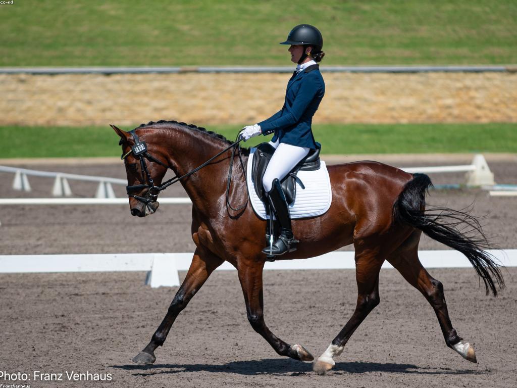 ការយល់ដឹងអំពីព្រឹត្តិការណ៍ហ្គេមបាញ់ត្រី